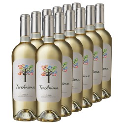 Puglia IGT Bianco (12...