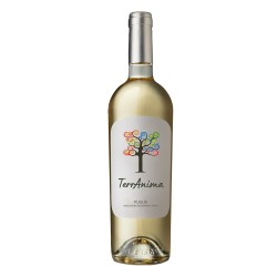 Puglia IGT Bianco (12 Flaschen) - 10.32 € / 1 Liter