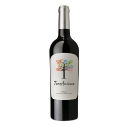 Puglia IGT Rosso (12 Flaschen) - 10.32 € / 1 Liter
