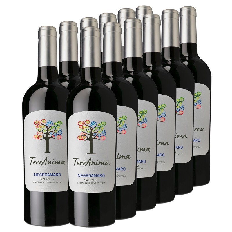 Negroamaro Salento IGT (12 Flaschen) - 11,91 € / 1 Liter
