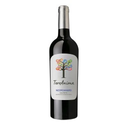 Negroamaro Salento IGT (12 Flaschen) - 11,91 € / 1 Liter