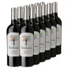 Primitivo Salento IGT (12 Flaschen) - 13,49 € / 1 Liter